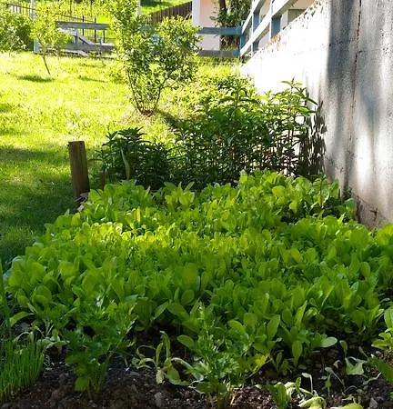 Appartamento Casa Maria *