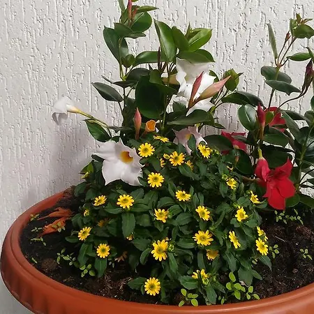 דירה Casa Maria *