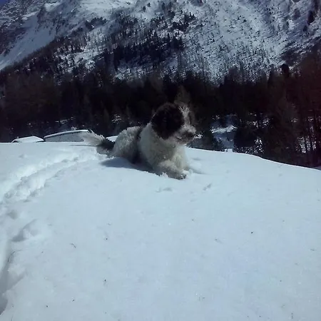 Casa Maria Appartamento Aprica