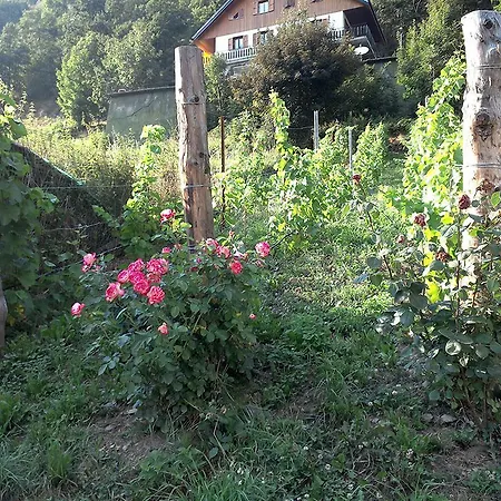 Appartamento Casa Maria *